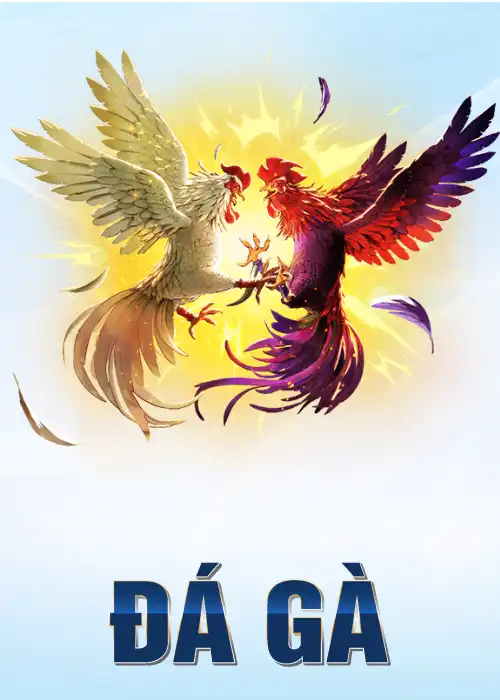 Đá gà bet88